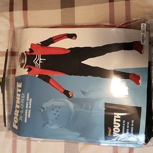 Fortnite Costume
